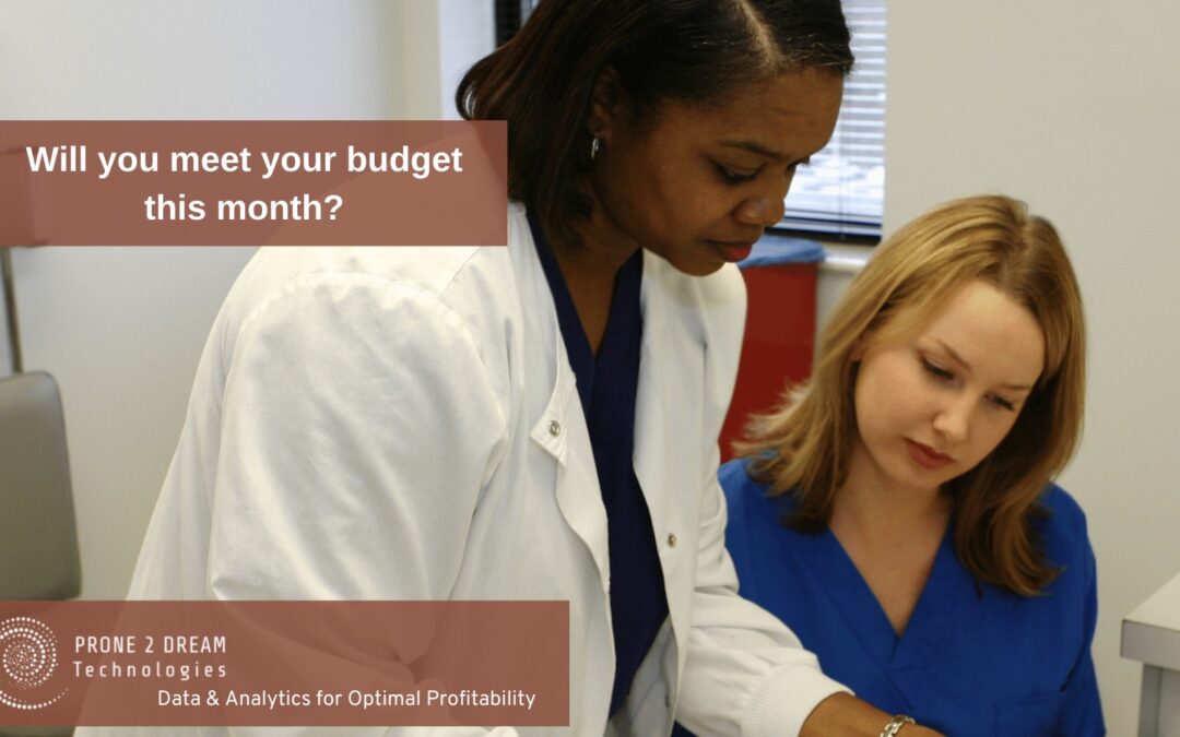 Senior Living Operators – Will You Meet Your Budget This Month?