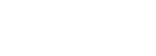DreamPRO Intelligence - white logo